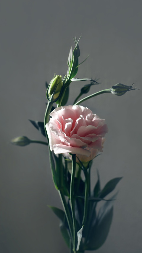 Art Wallpapers-08 preview