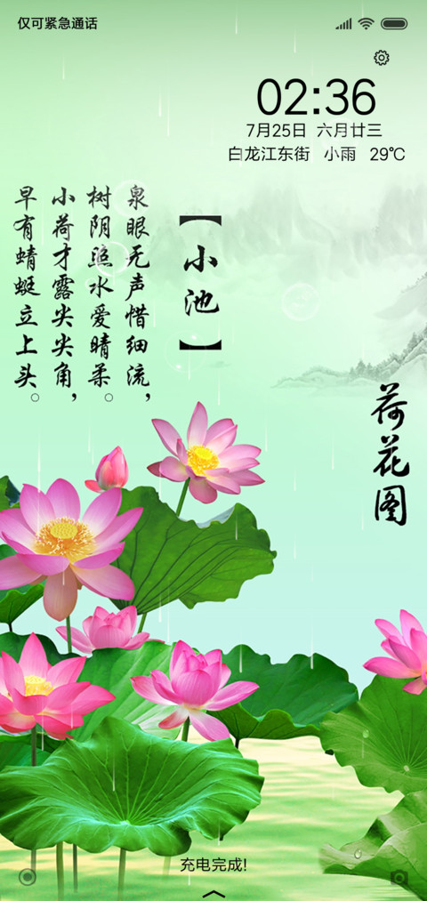 荷花图 preview