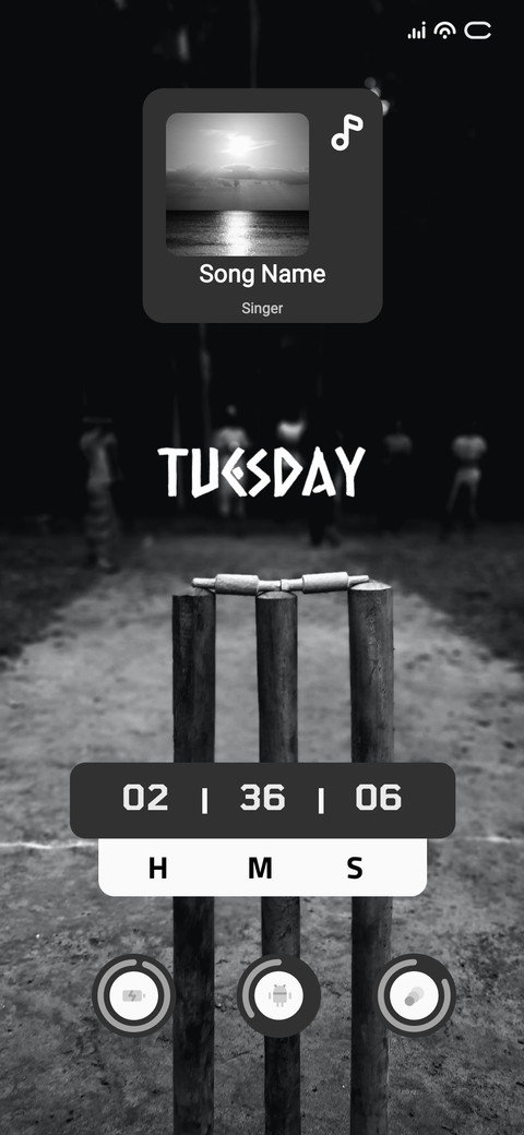 Night Cricket preview