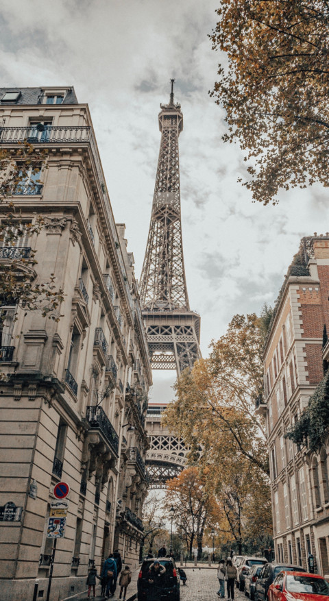 Paris (15) preview