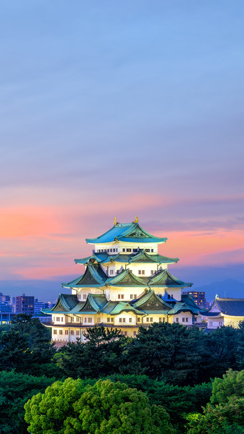 Nagoya Castle and City Skyline in Japan at Sunset preview