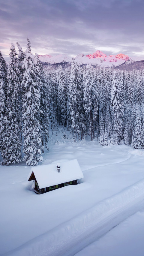 Winter Snowfield preview