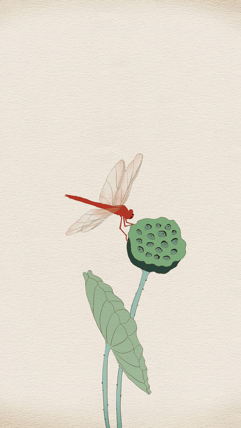 Sleeping lotus for a thousand years preview