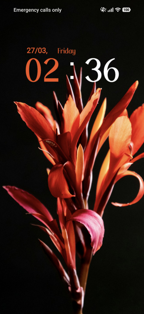 Flower preview