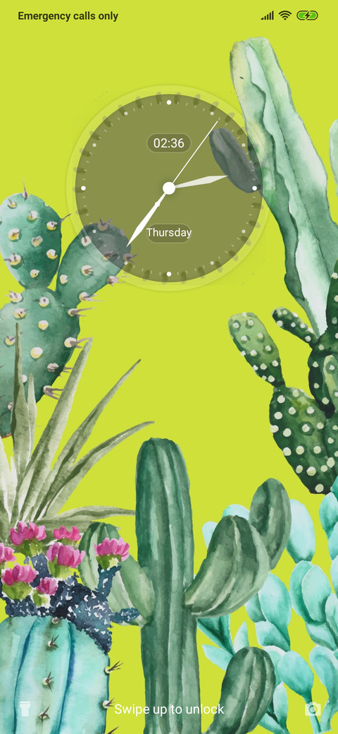 Plant - Cactus_3MDS preview