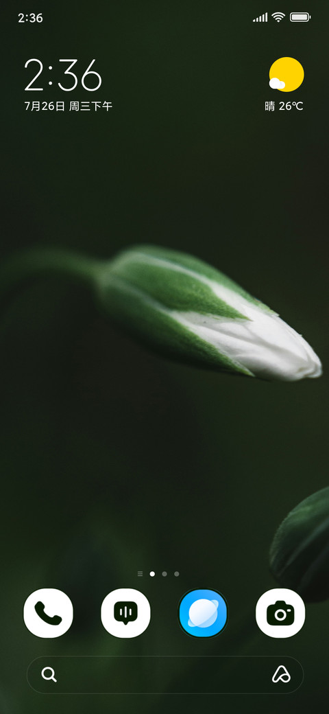 Ivory Bud preview