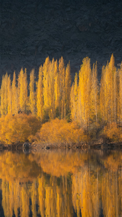 The vast golden autumn by the lakeside on the plateau preview