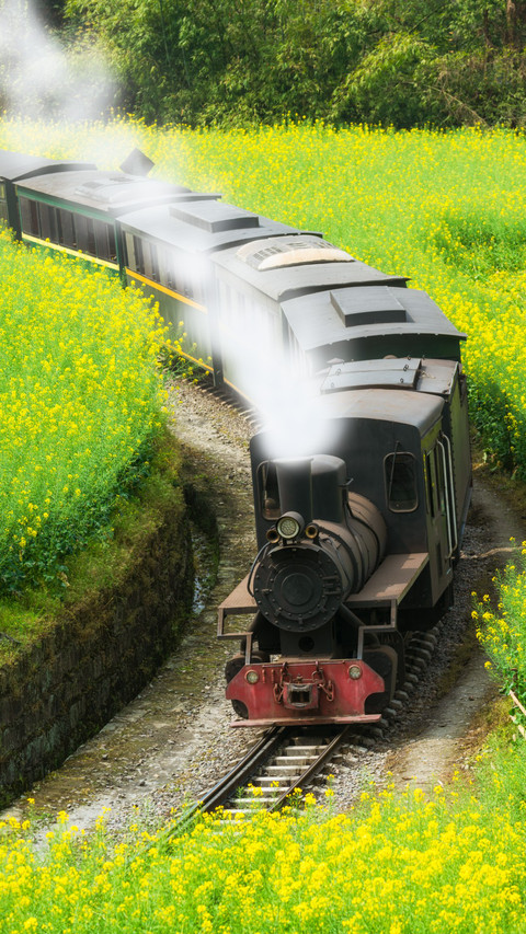 Jianwei Oilseed Rape Flower Sea Small Train preview