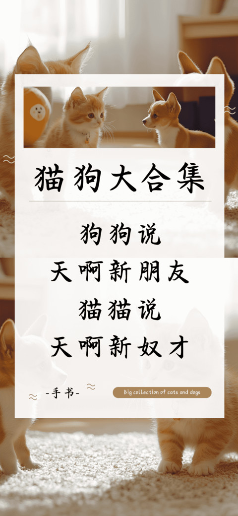 猫狗大合集 preview