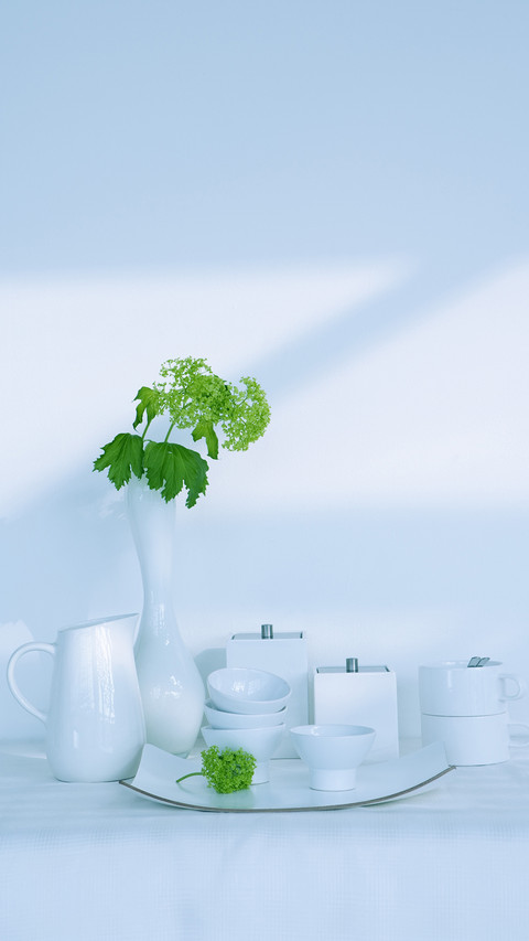 India-tableware preview