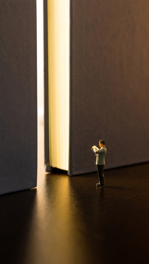 The highest earning online writer in china preview