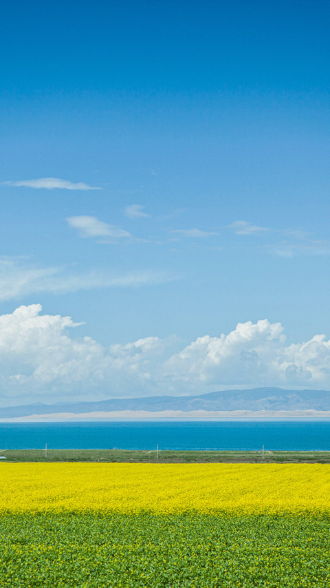 Colors of Qinghai Lake preview