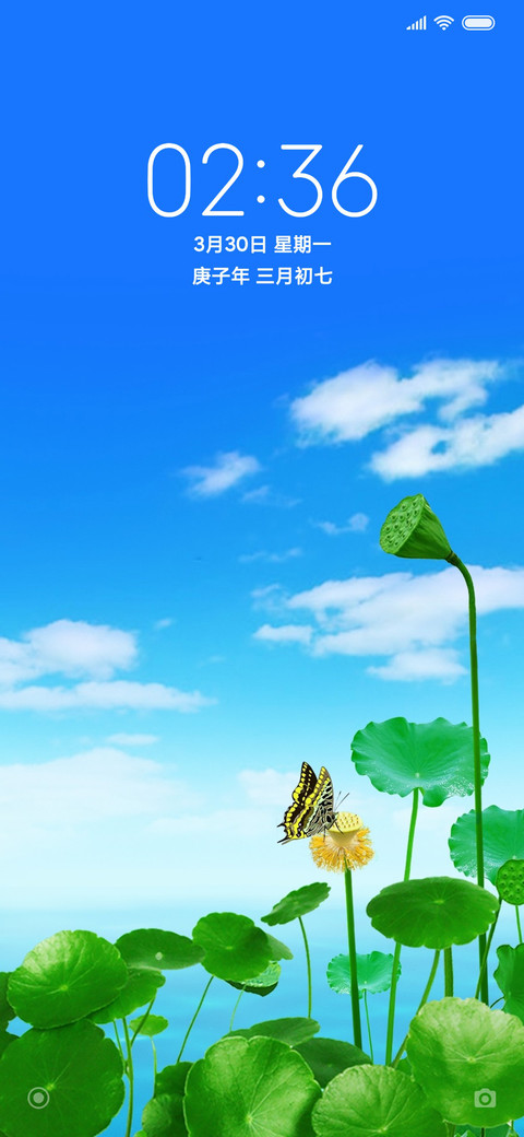 绿荷 preview