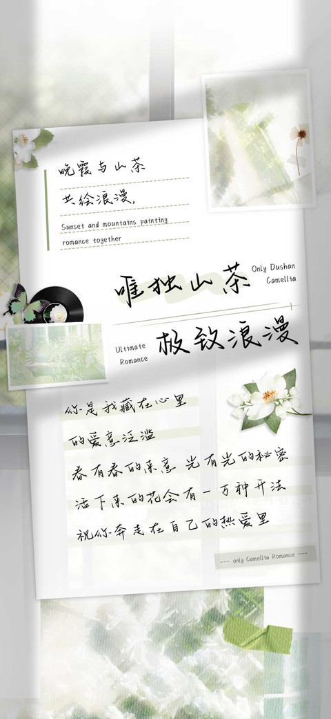 唯独山茶极致浪漫 preview