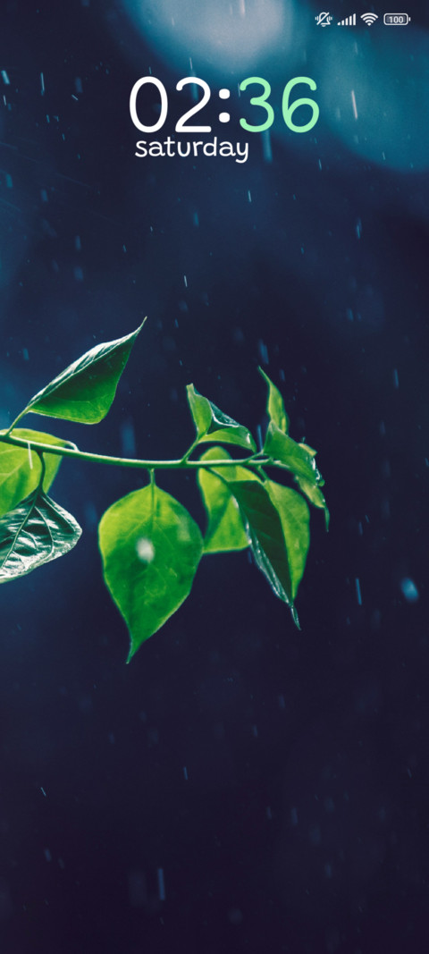 Leaf Dream preview