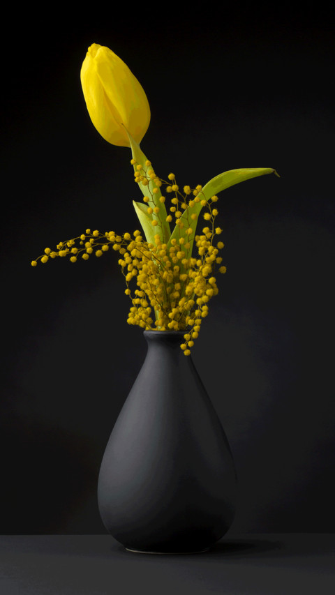 Still life of plants preview