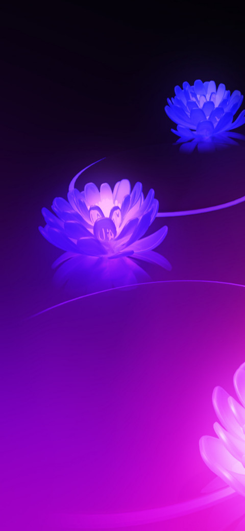 Purple Flowers V2 preview
