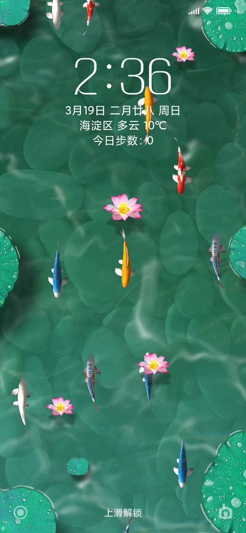锦鲤荷塘 preview