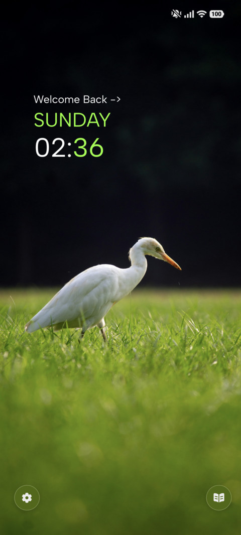 White Bird preview