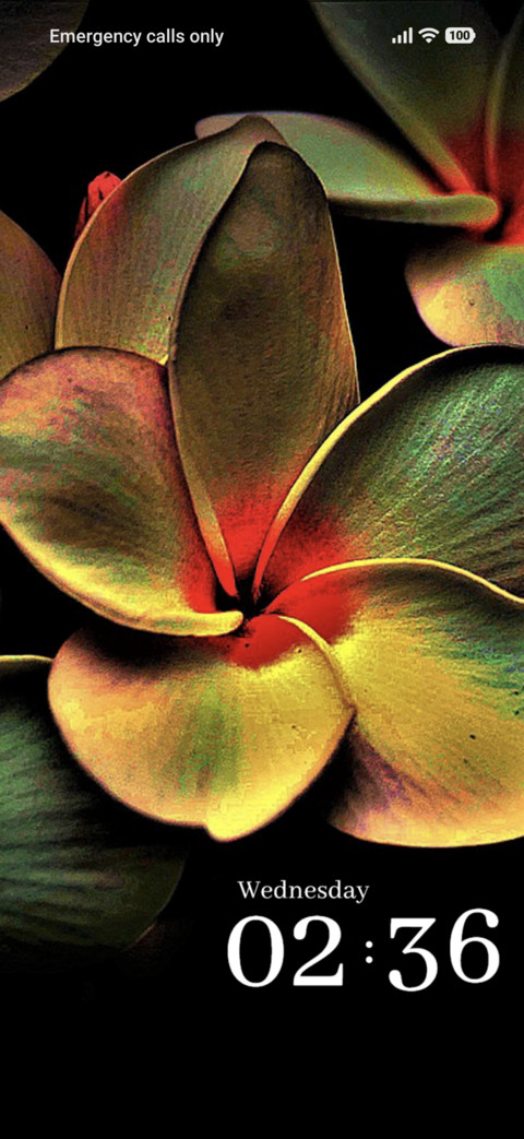 Floral Art preview