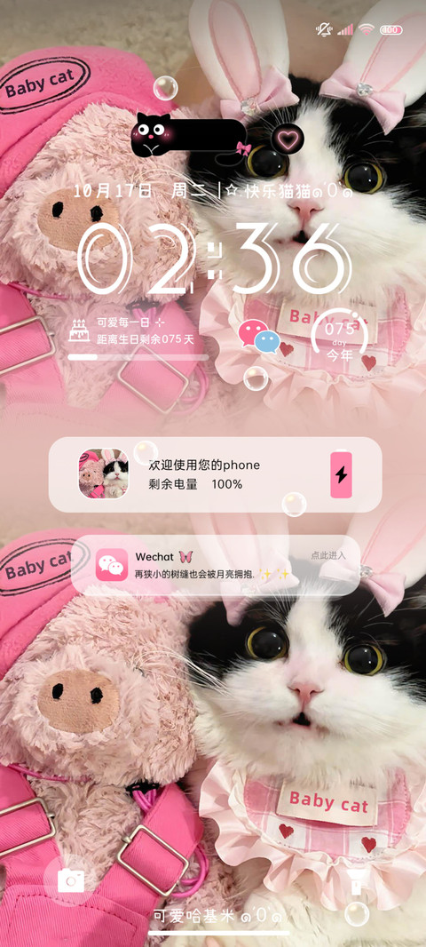 双拼甜心猪咪 preview