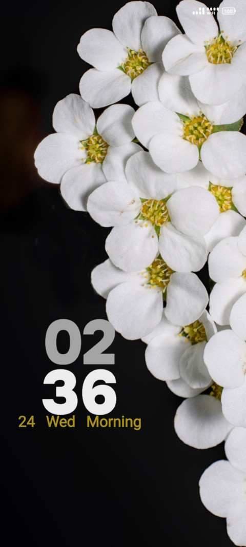 White Petals preview