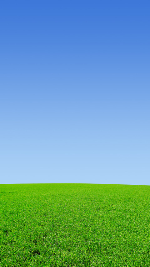 Green eye protection prairie wallpaper preview