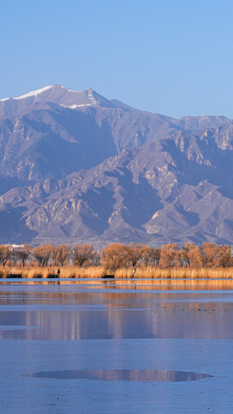 Wild duck lake in winter preview