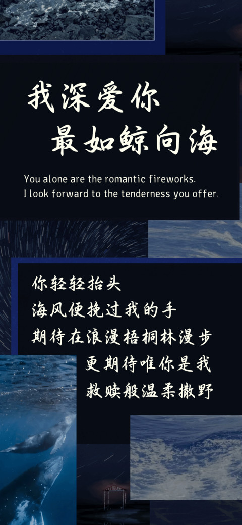 我深爱你最如鲸向海 preview