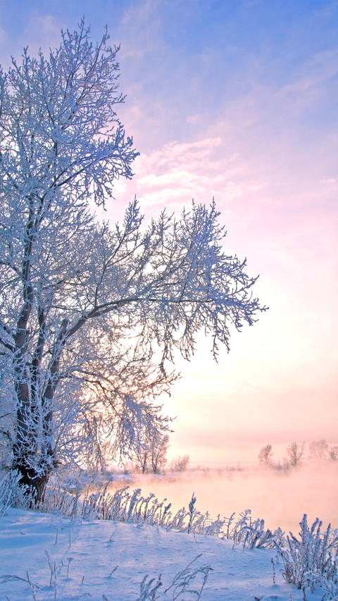 Winter scenery preview