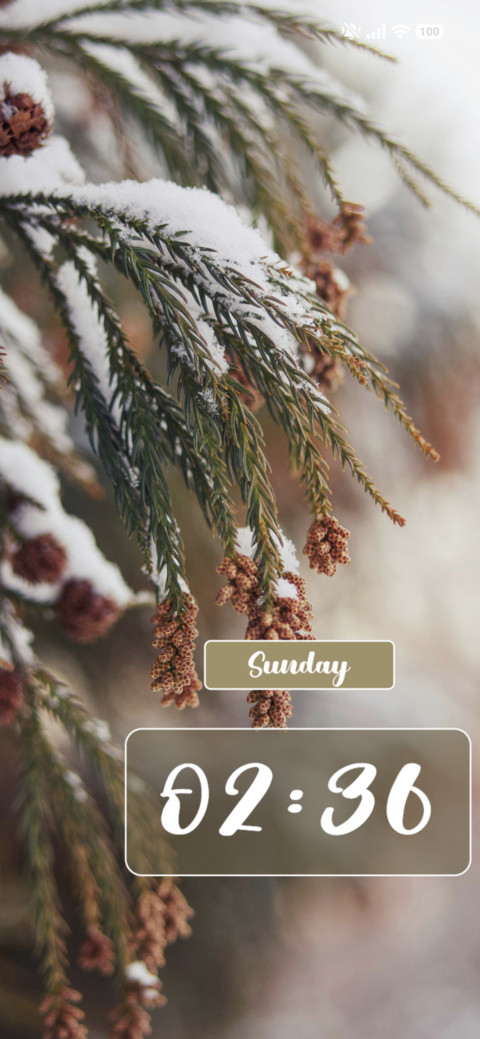 Pine tree preview