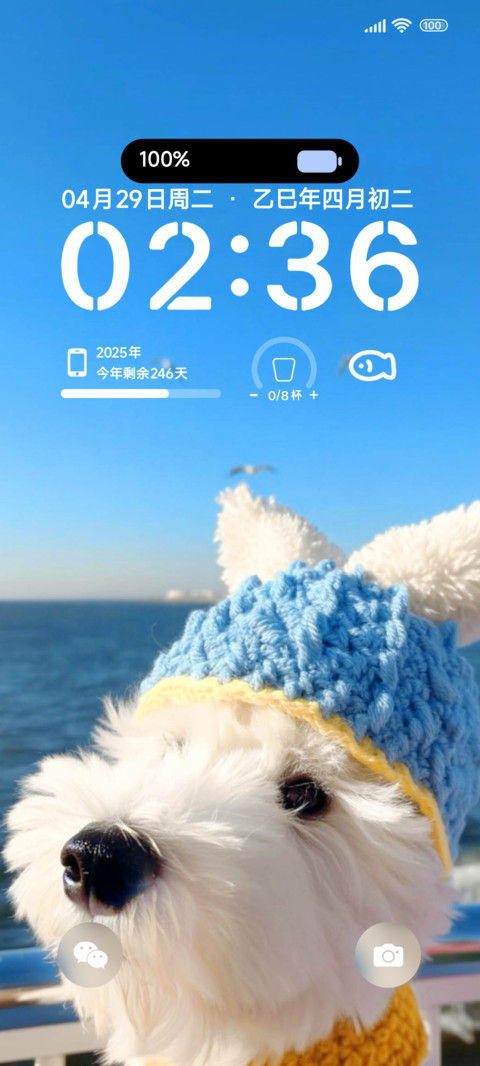 小汪的旅途 preview