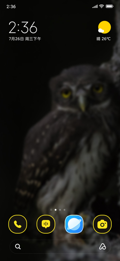 Angry Owl preview