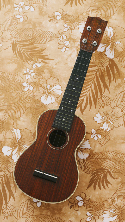 india-guitar preview
