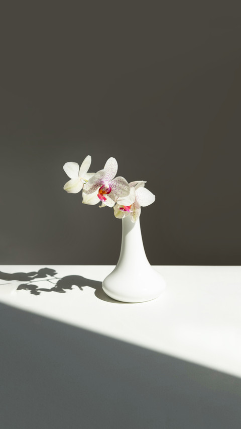 A white vase displays a white bouquet of flowers preview