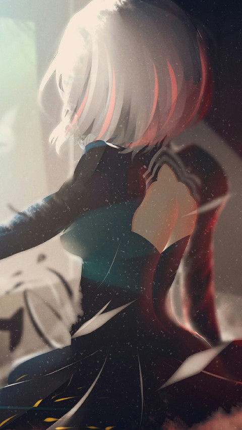 2B小姐姐 preview