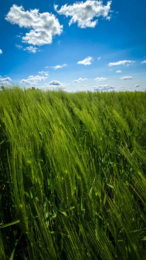 Landscape beauty of Latvia preview
