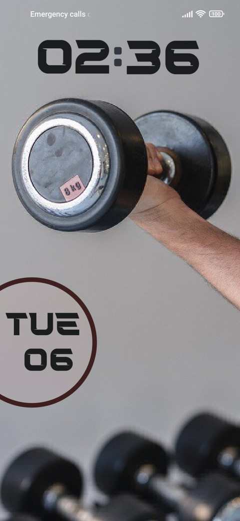 Gym preview