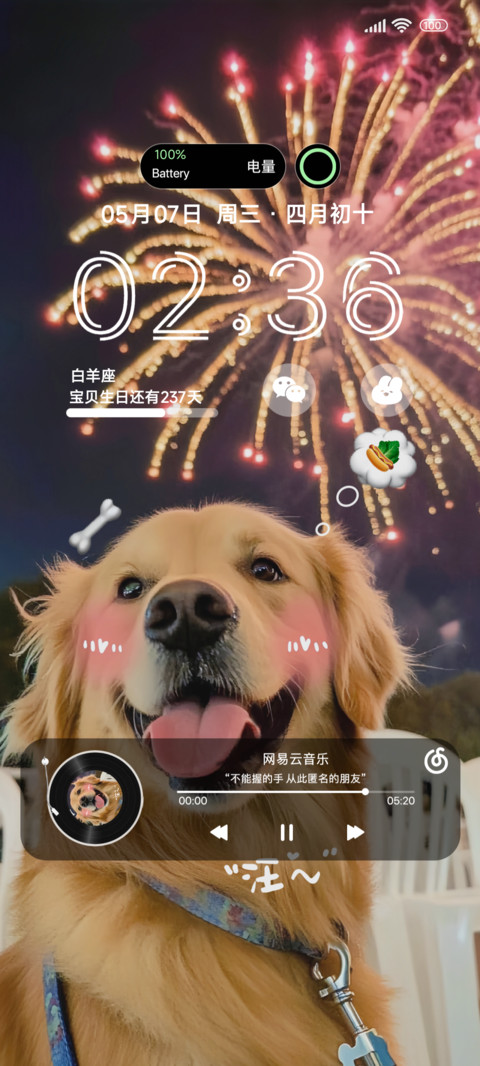 烟花小汪 preview