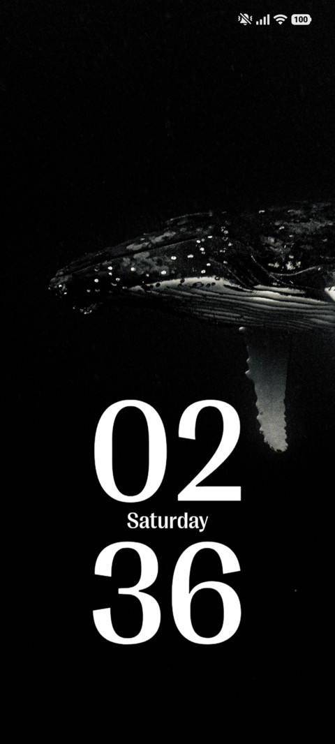 Ocean preview