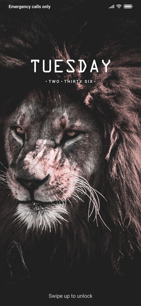Lion Dark V10 preview