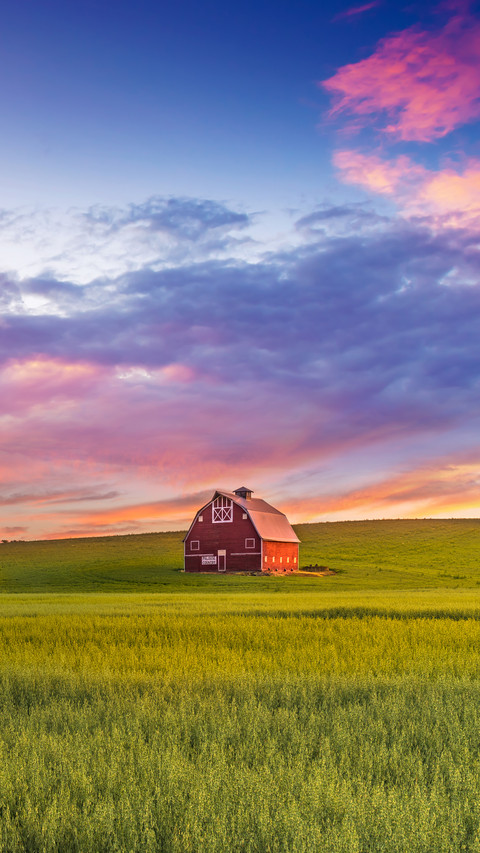 Red barn in Washington field at sunset preview