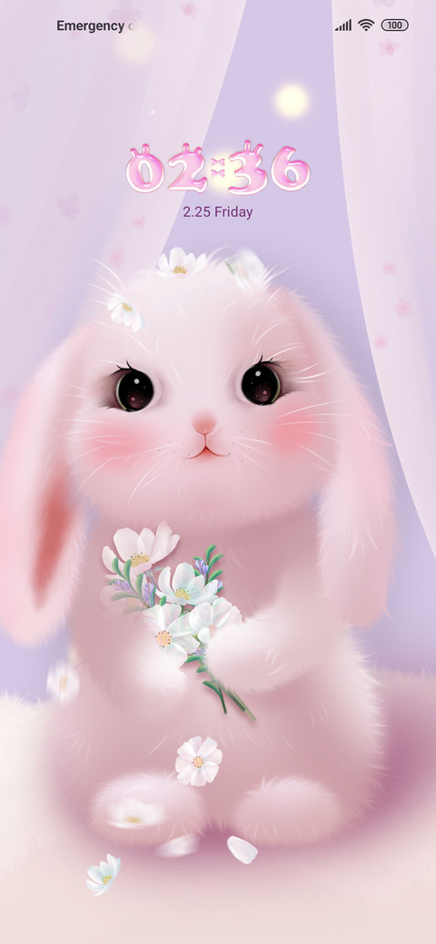 Big ears bunny preview