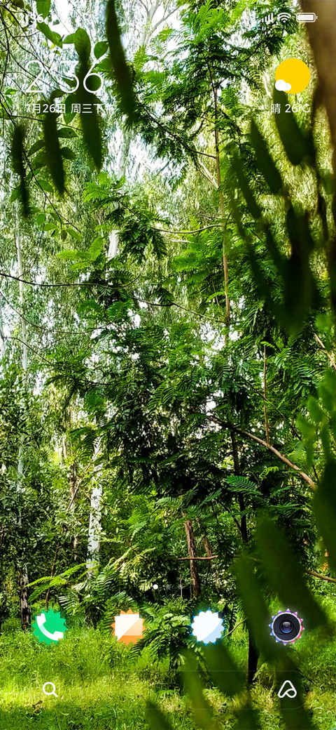 Forest Flora_DWM2 preview