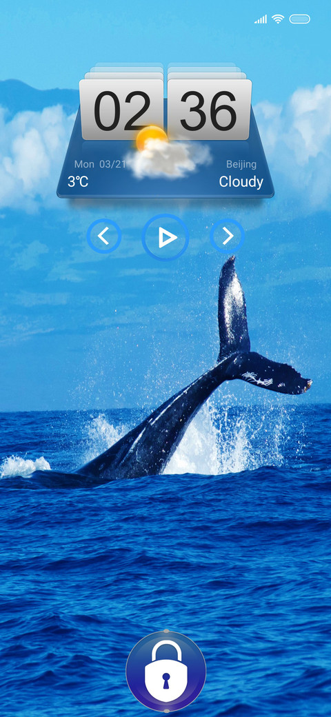 Whale tri preview