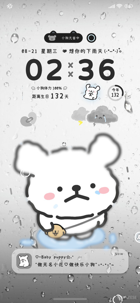 线条小狗想你的雨天 preview