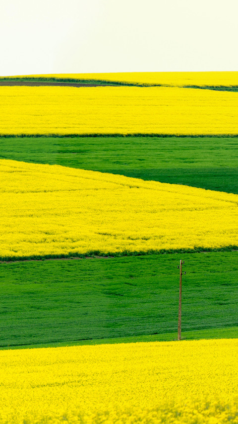 Wide fields preview