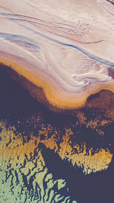 Shark bay sandbar preview