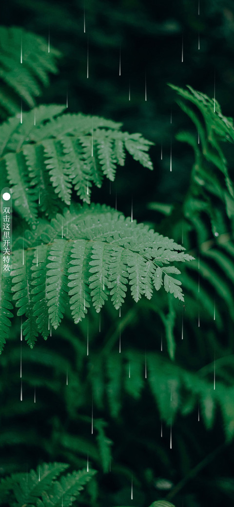 夏末 preview