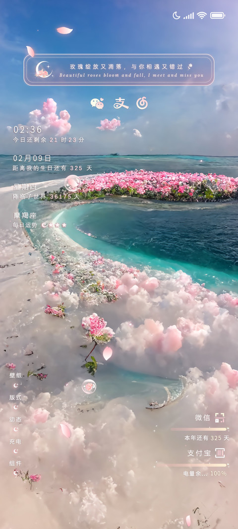玫瑰心海 preview